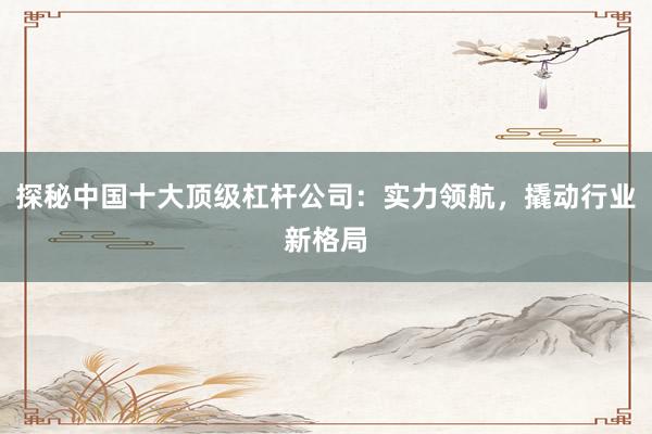 探秘中国十大顶级杠杆公司：实力领航，撬动行业新格局
