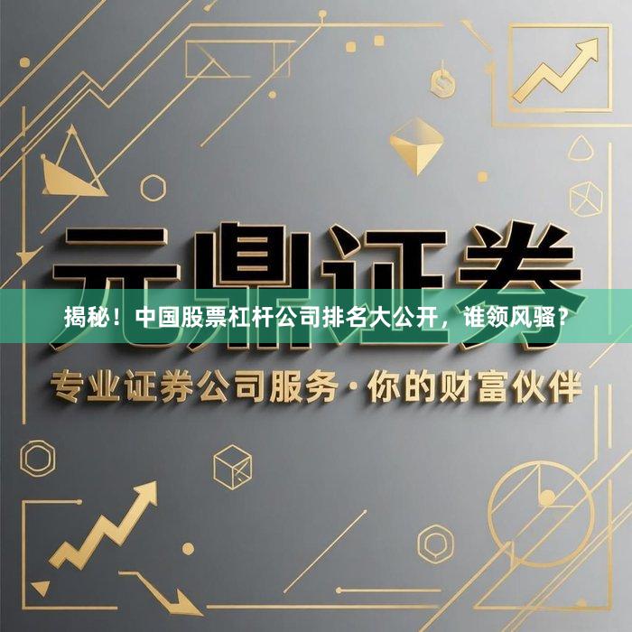 揭秘！中国股票杠杆公司排名大公开，谁领风骚？