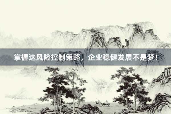 掌握这风险控制策略，企业稳健发展不是梦！