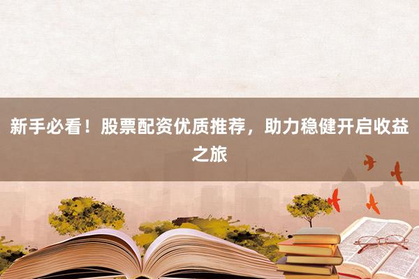 新手必看！股票配资优质推荐，助力稳健开启收益之旅