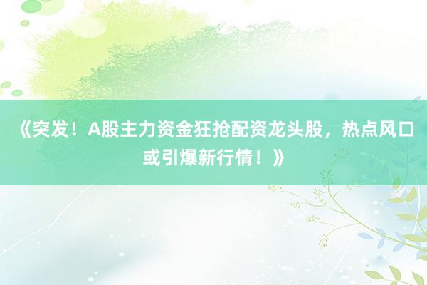 《突发！A股主力资金狂抢配资龙头股，热点风口或引爆新行情！》