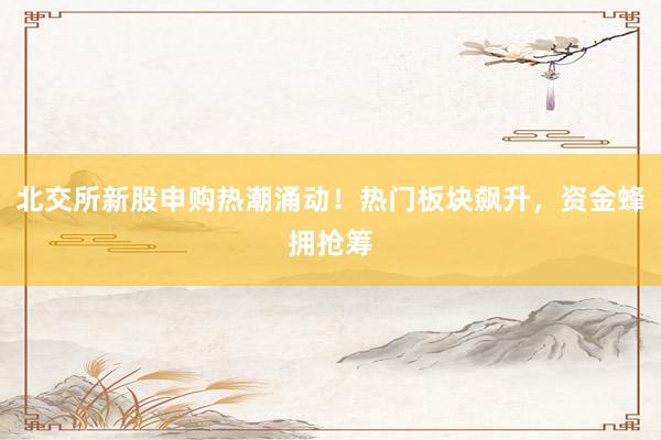 北交所新股申购热潮涌动！热门板块飙升，资金蜂拥抢筹