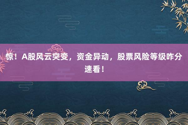 惊！A股风云突变，资金异动，股票风险等级咋分速看！