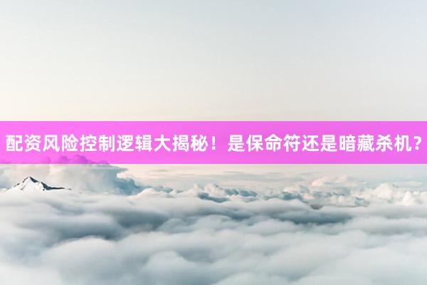 配资风险控制逻辑大揭秘！是保命符还是暗藏杀机？