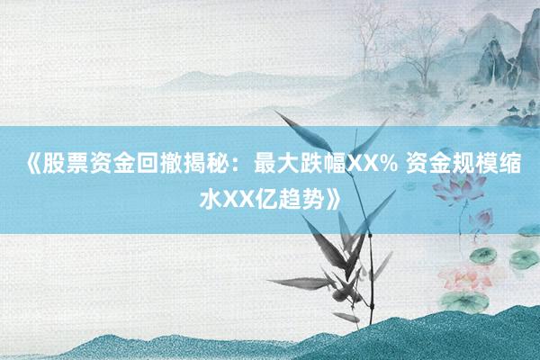 《股票资金回撤揭秘：最大跌幅XX% 资金规模缩水XX亿趋势》