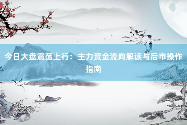 今日大盘震荡上行：主力资金流向解读与后市操作指南