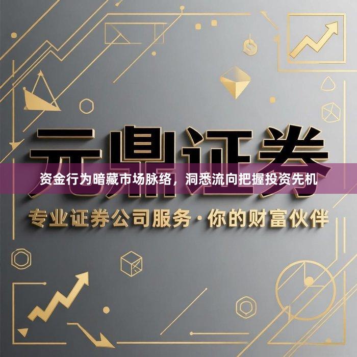 资金行为暗藏市场脉络，洞悉流向把握投资先机