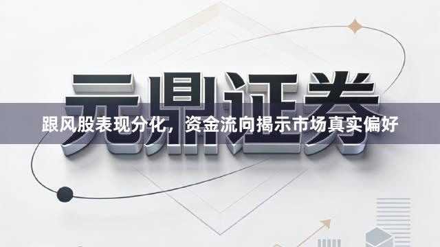 跟风股表现分化，资金流向揭示市场真实偏好
