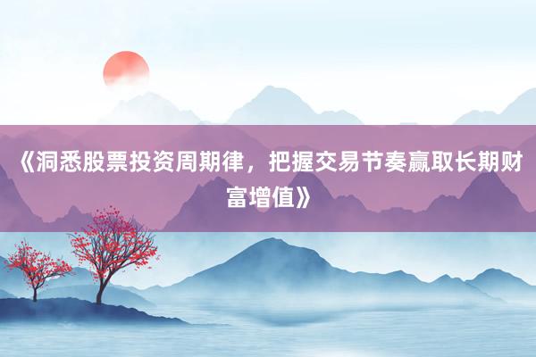 《洞悉股票投资周期律，把握交易节奏赢取长期财富增值》