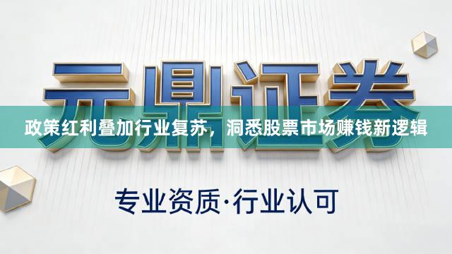 政策红利叠加行业复苏，洞悉股票市场赚钱新逻辑
